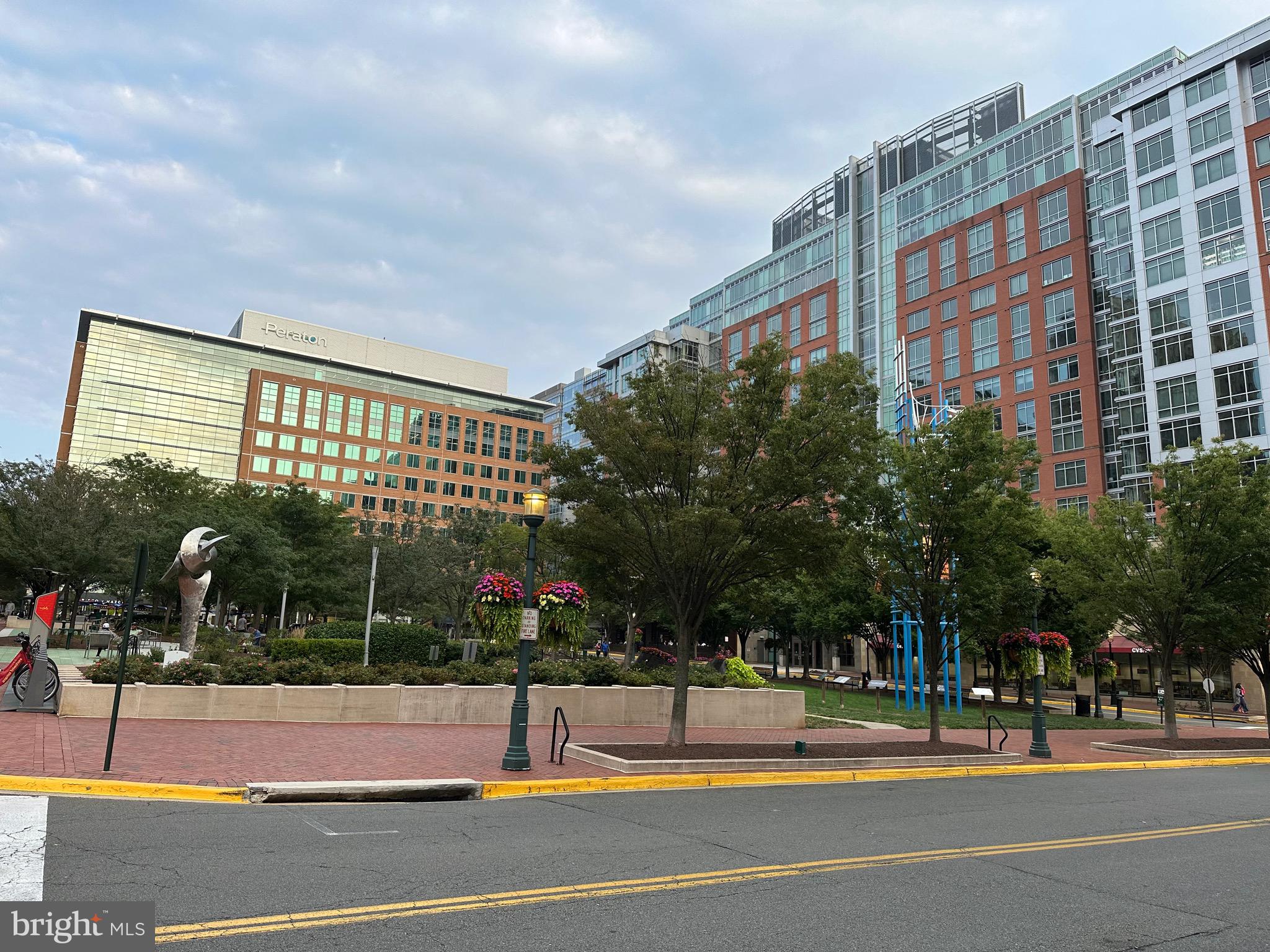 SAVOY AT RESTON TOWN CENTER - Residential