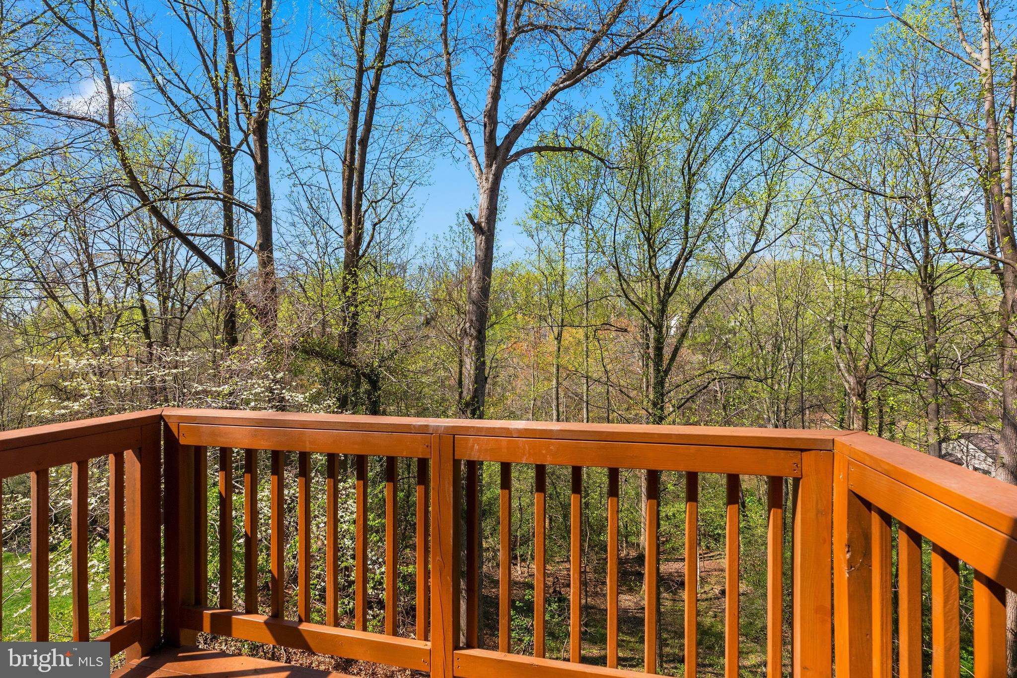 BEN OAKS ON SEVERN - Residential