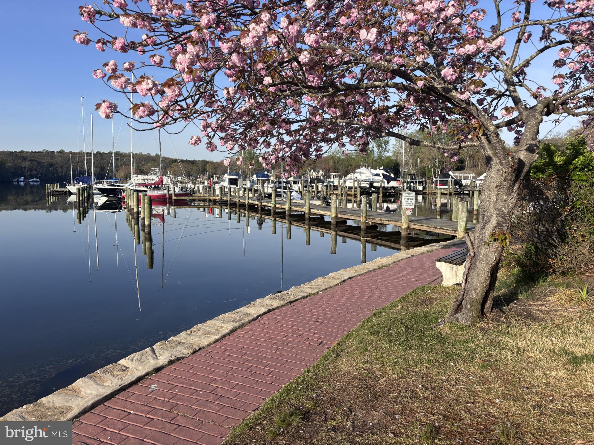 BEN OAKS ON SEVERN - Residential