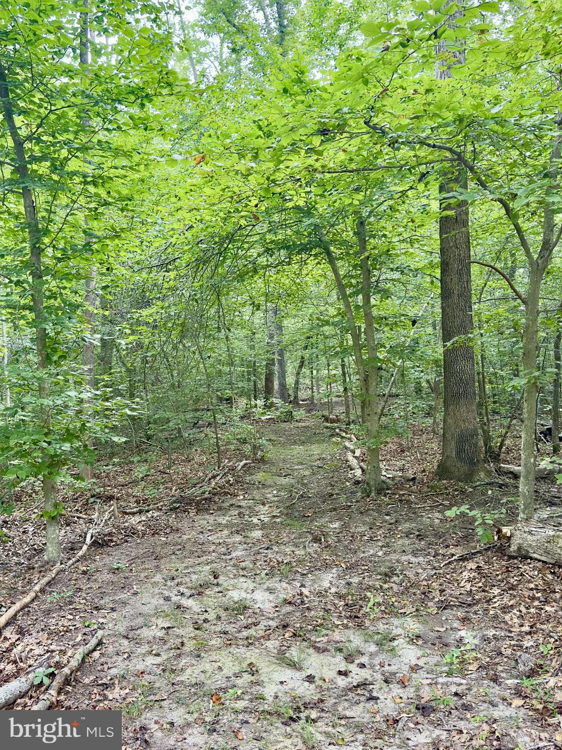 MILLWOOD - Residential