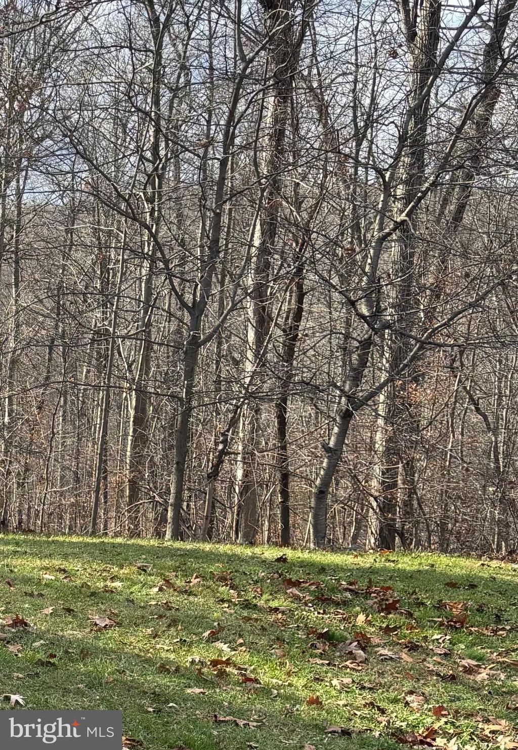 Photo of 327 Hibernia Rd, COATESVILLE, PA 19320 (MLS # PACT2114964)