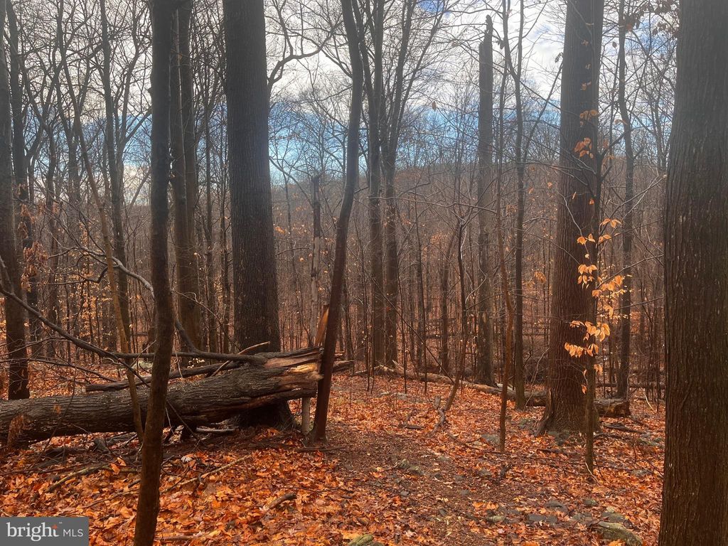 Photo of 327 Hibernia Rd, COATESVILLE, PA 19320 (MLS # PACT2114964)