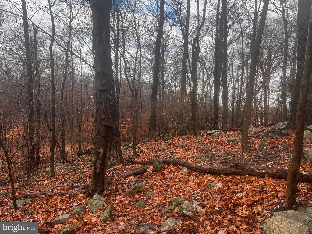 Photo of 327 Hibernia Rd, COATESVILLE, PA 19320 (MLS # PACT2114964)