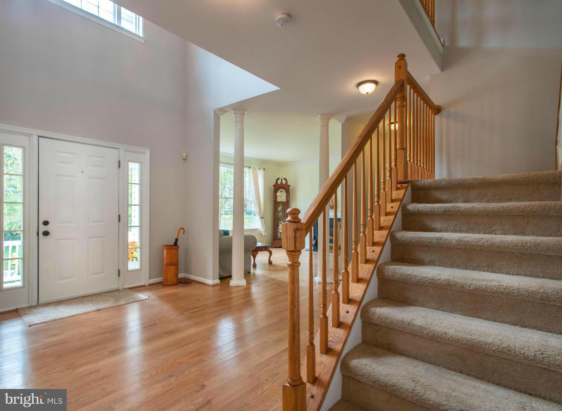 GLEN EDEN - Residential