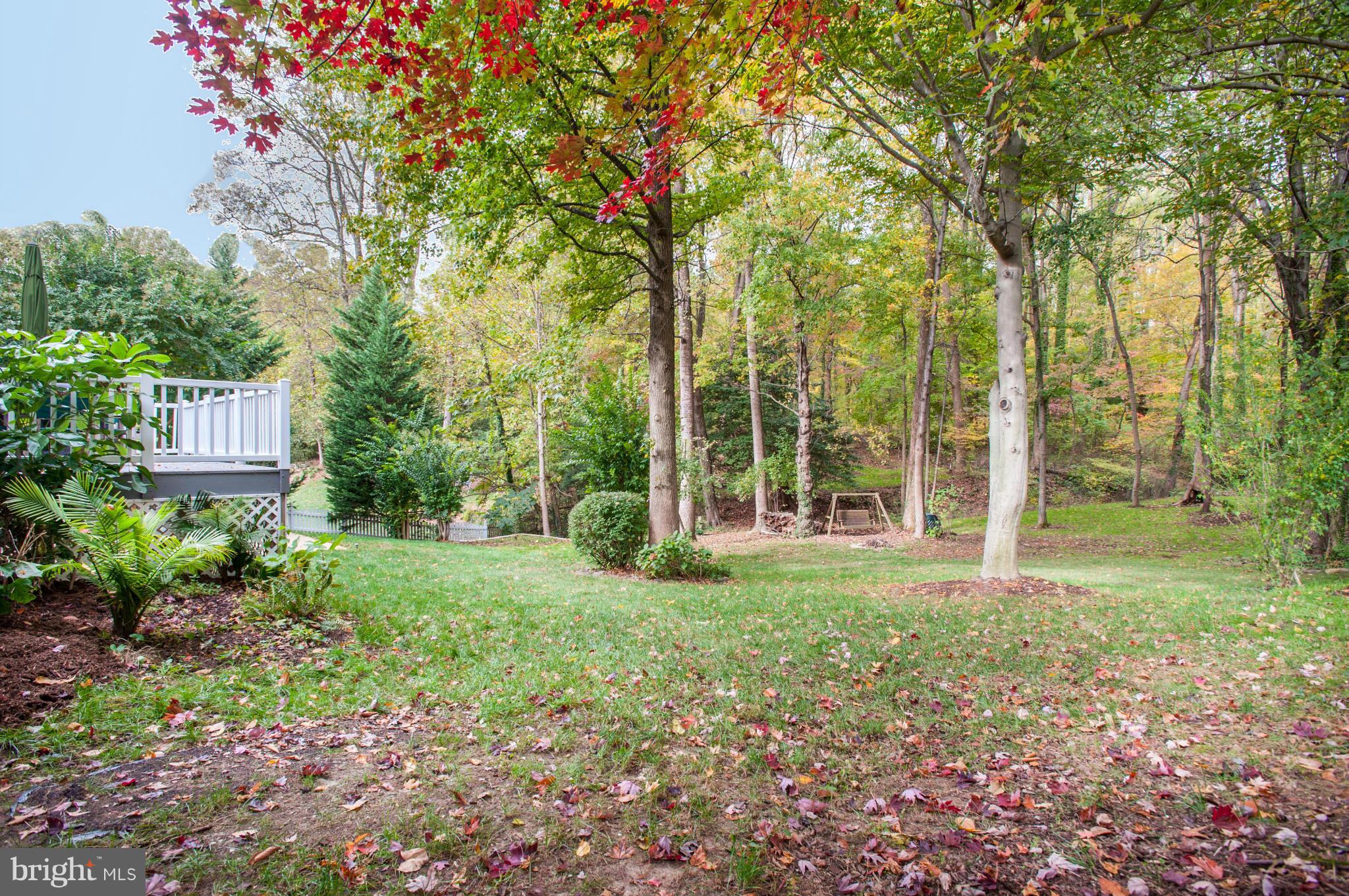 GLEN EDEN - Residential