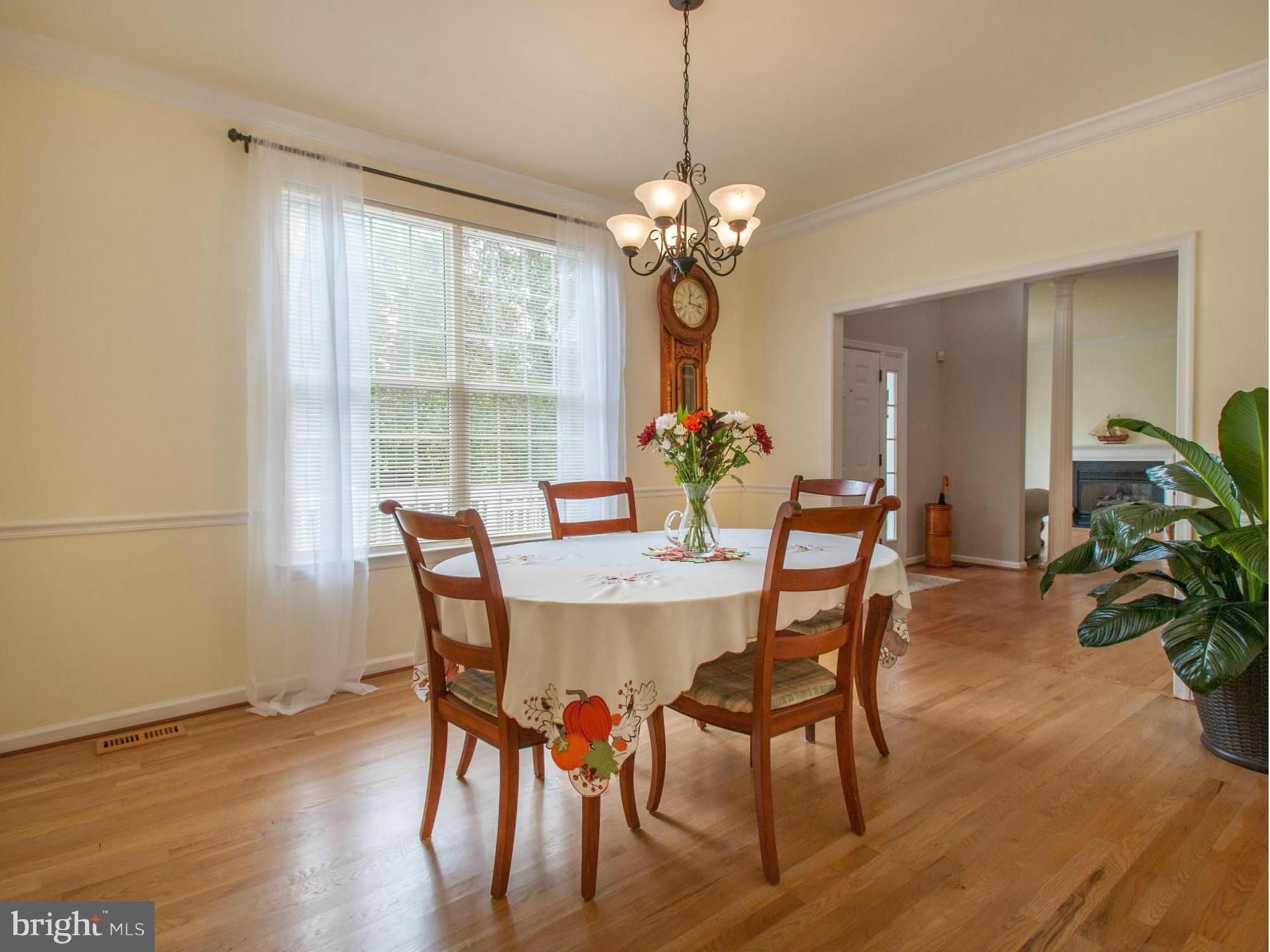 GLEN EDEN - Residential