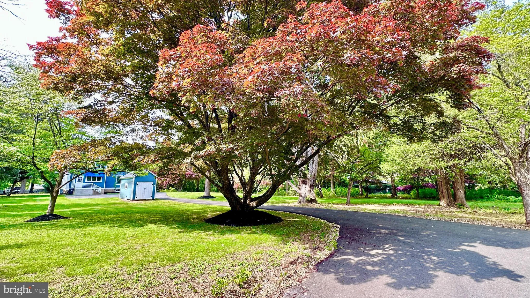 Princeton, New Jersey 08540, United States, 4 Bedrooms Bedrooms, ,3 BathroomsBathrooms,Residential,Pending,58718