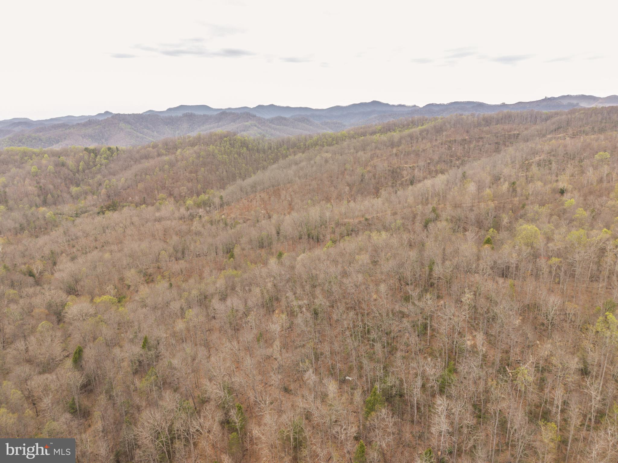 0 PINE BRANCH ROAD