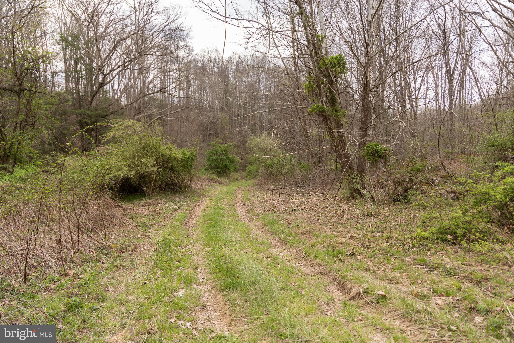 0 PINE BRANCH ROAD