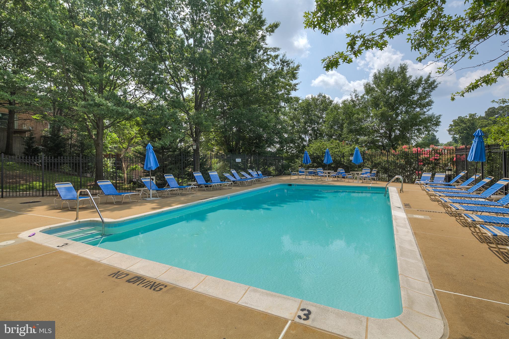 THE WILLIAMSBURG - Residential