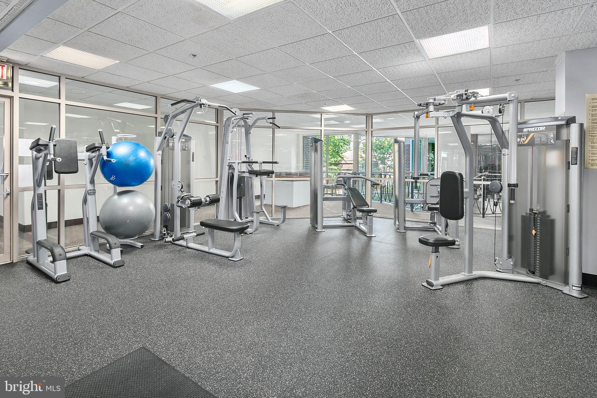 THE WILLIAMSBURG - Residential