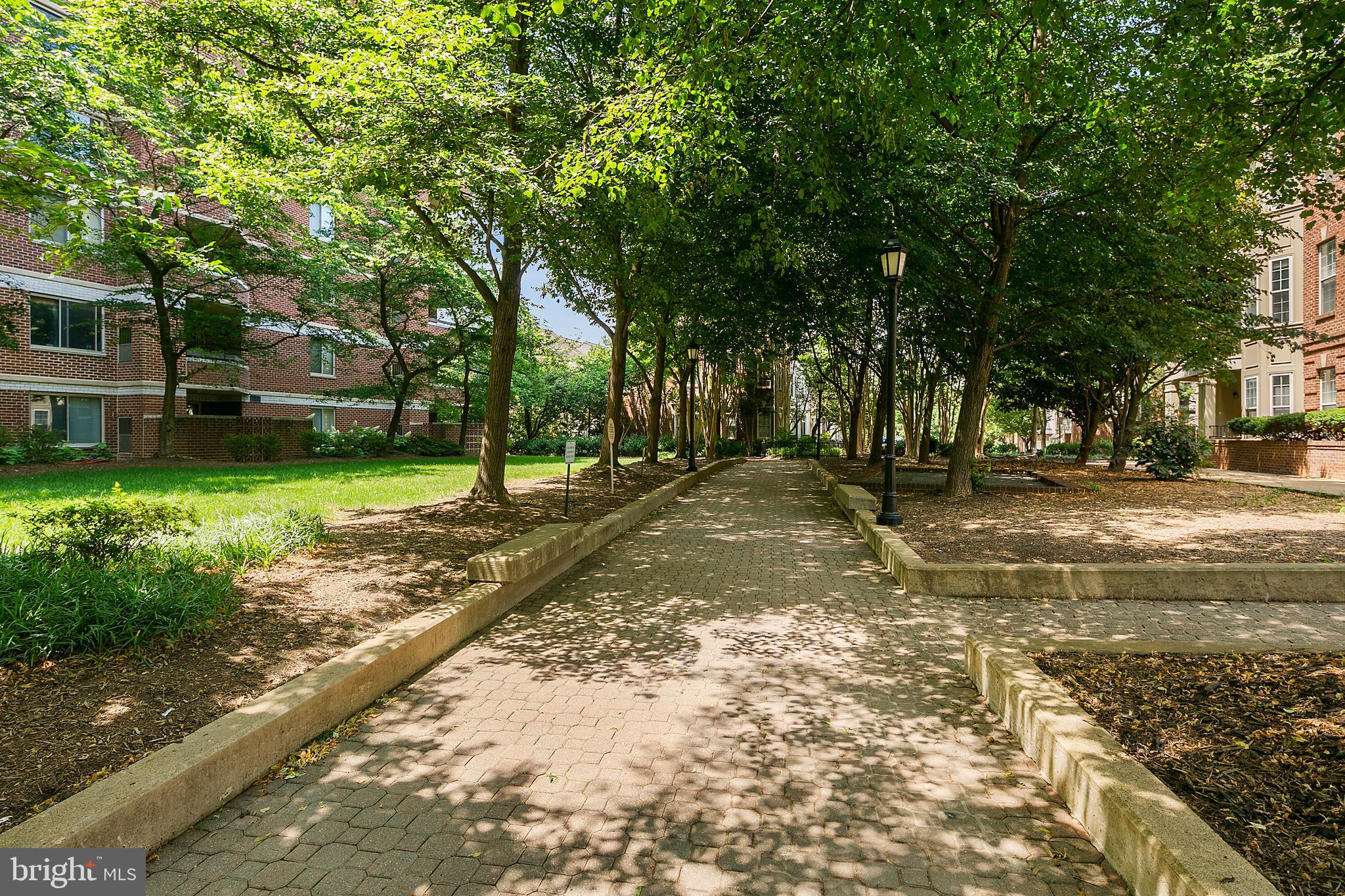 THE WILLIAMSBURG - Residential