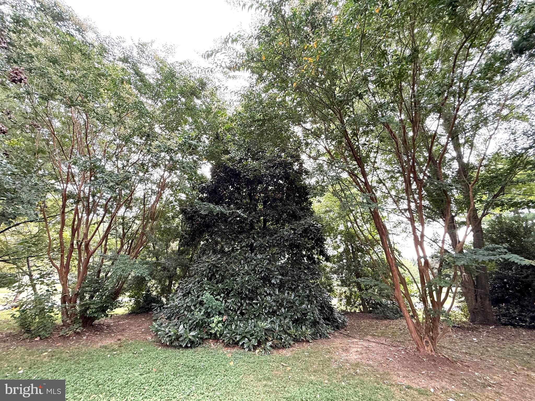 LENTLY FARMS - Residential