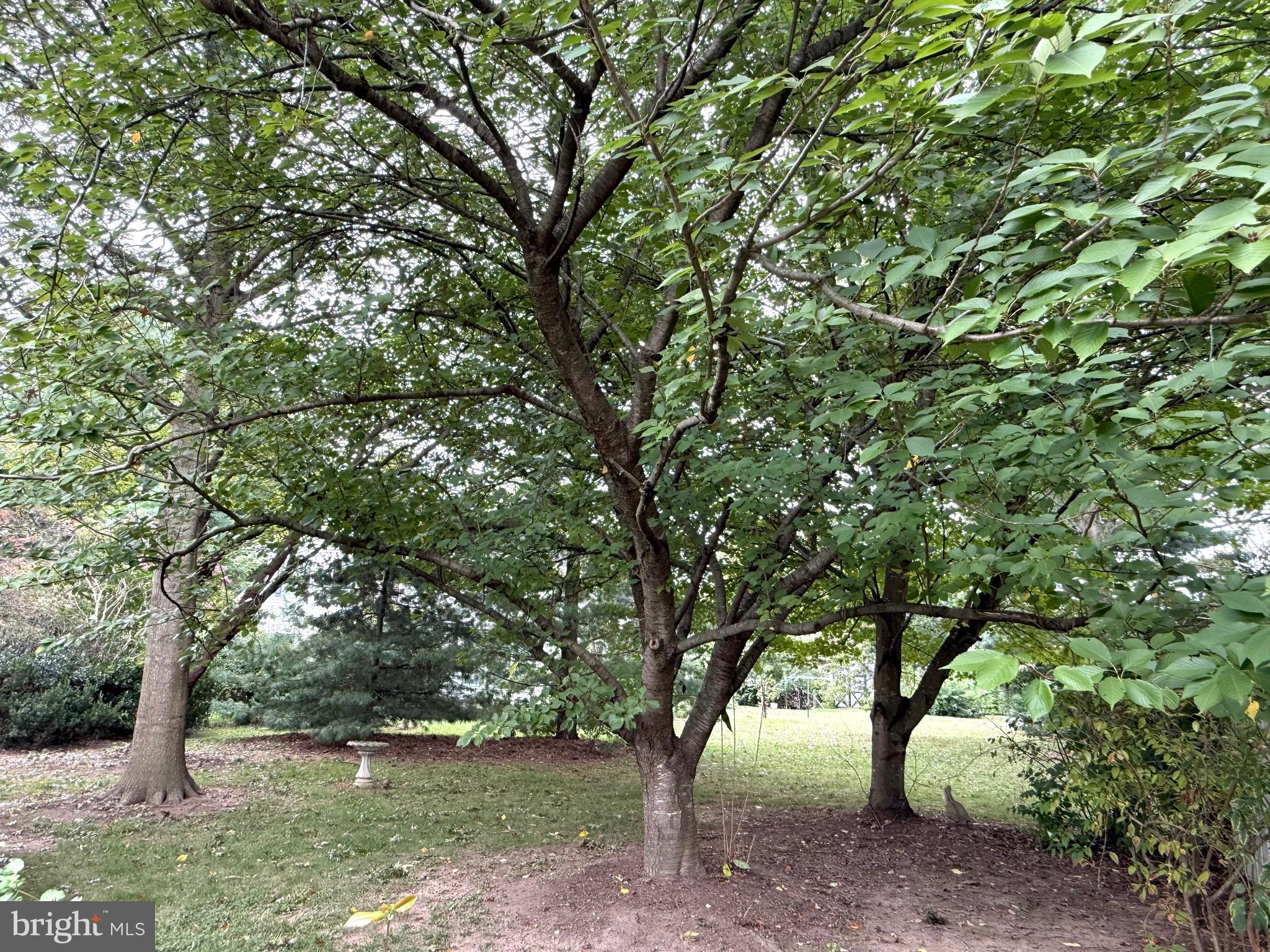 LENTLY FARMS - Residential