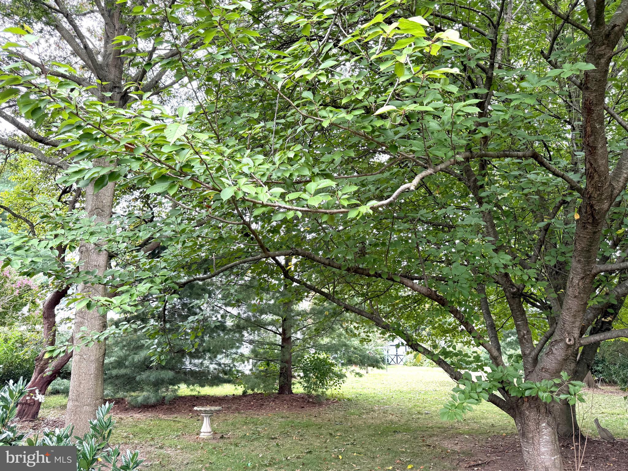 LENTLY FARMS - Residential