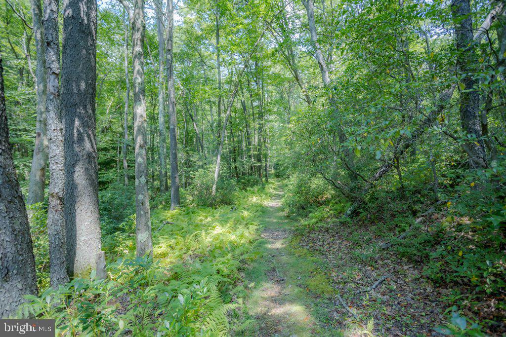 ALPINE LAKE RESORT - Residential