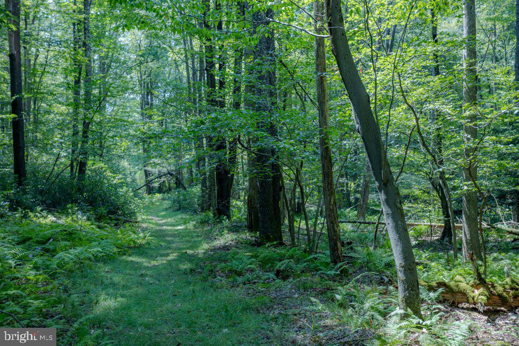 ALPINE LAKE RESORT - Residential