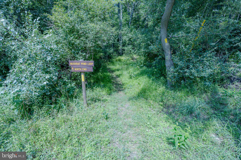 ALPINE LAKE RESORT - Residential