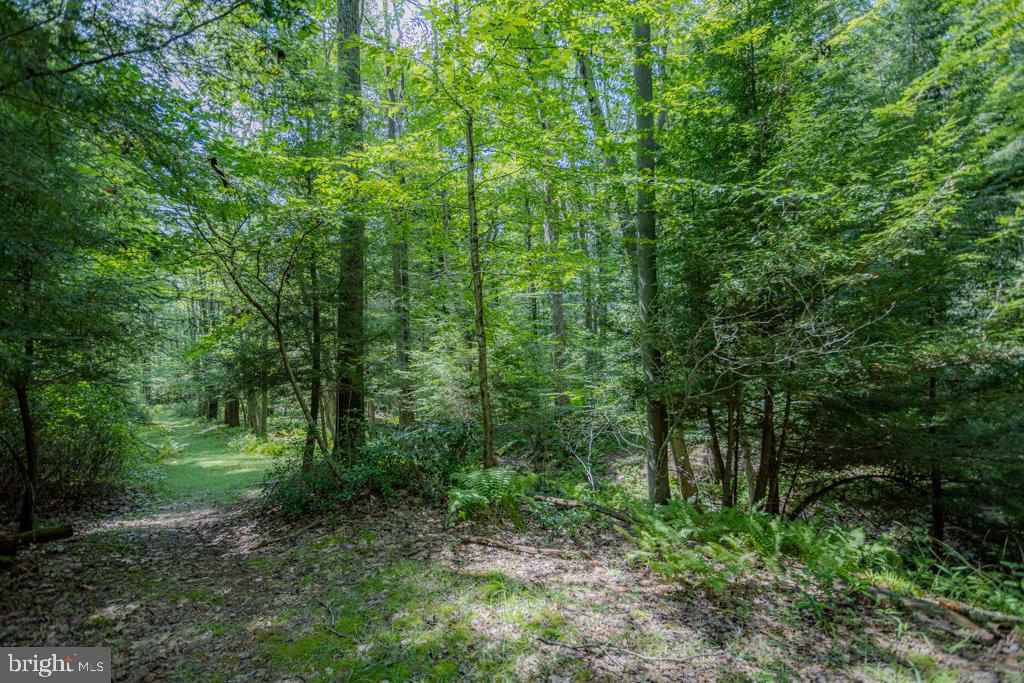 ALPINE LAKE RESORT - Residential