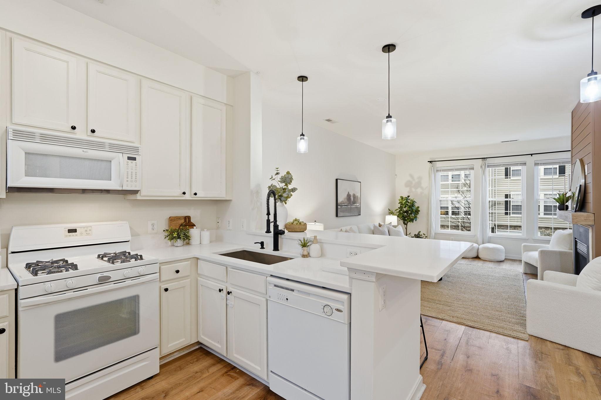 PARKSIDE AT DULLES - Residential