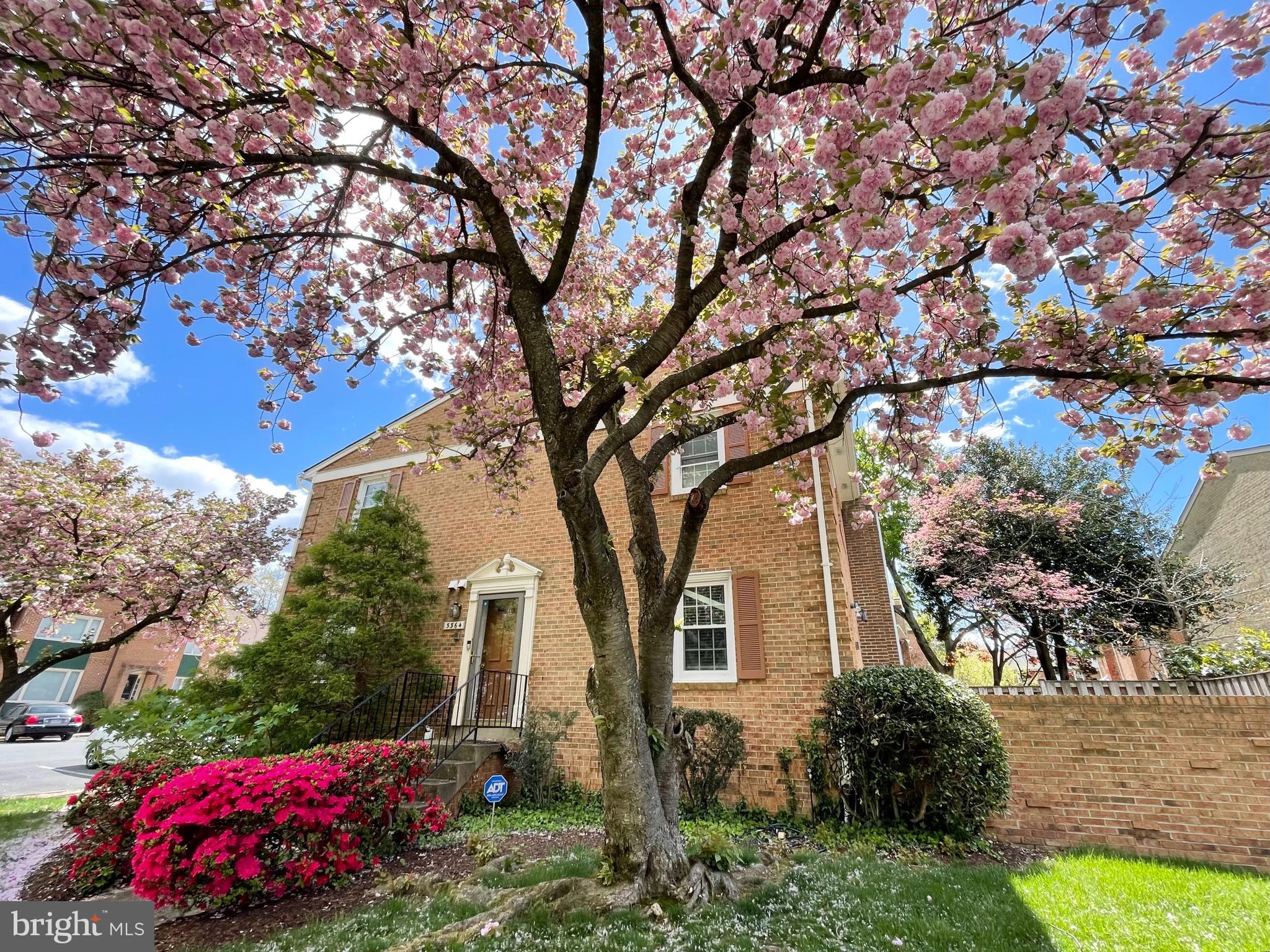 SEMINARY HEIGHTS - Residential