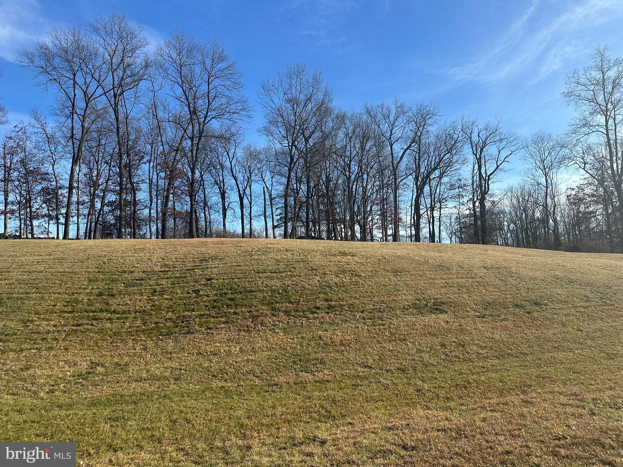 CARDINAL CROSSING - Residential