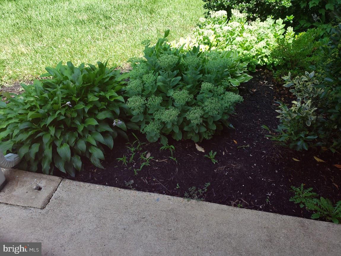 KENILWORTH AT BELAIR - Residential