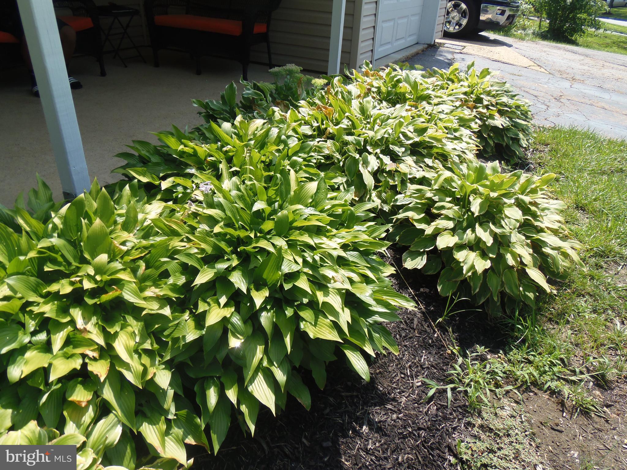 KENILWORTH AT BELAIR - Residential