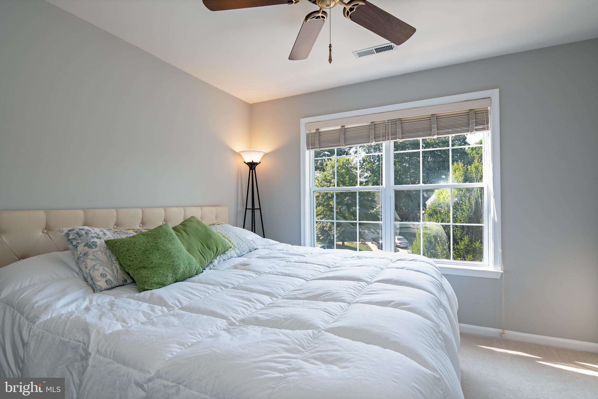 WOODS AT STONEY RIDGE - Residential