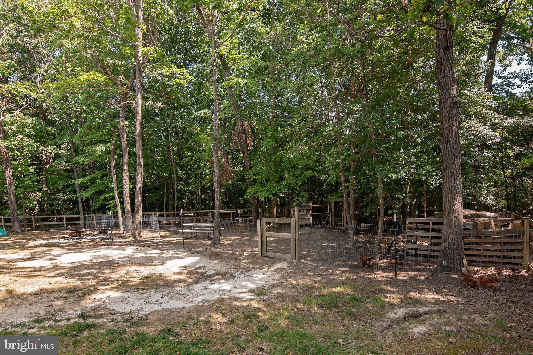 WOODS AT STONEY RIDGE - Residential