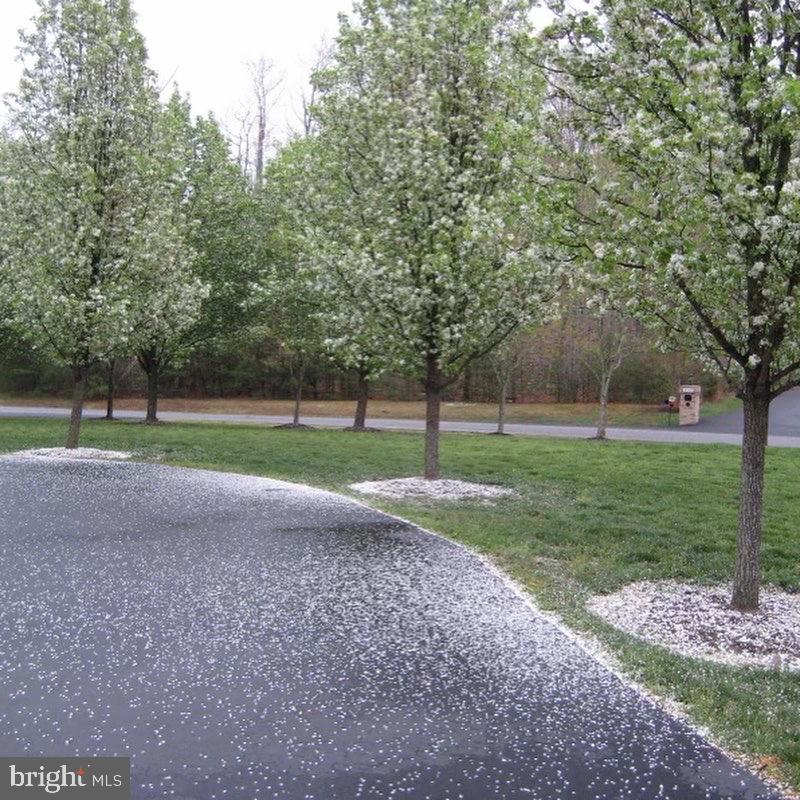 APPLE GROVE ESTATES - Residential