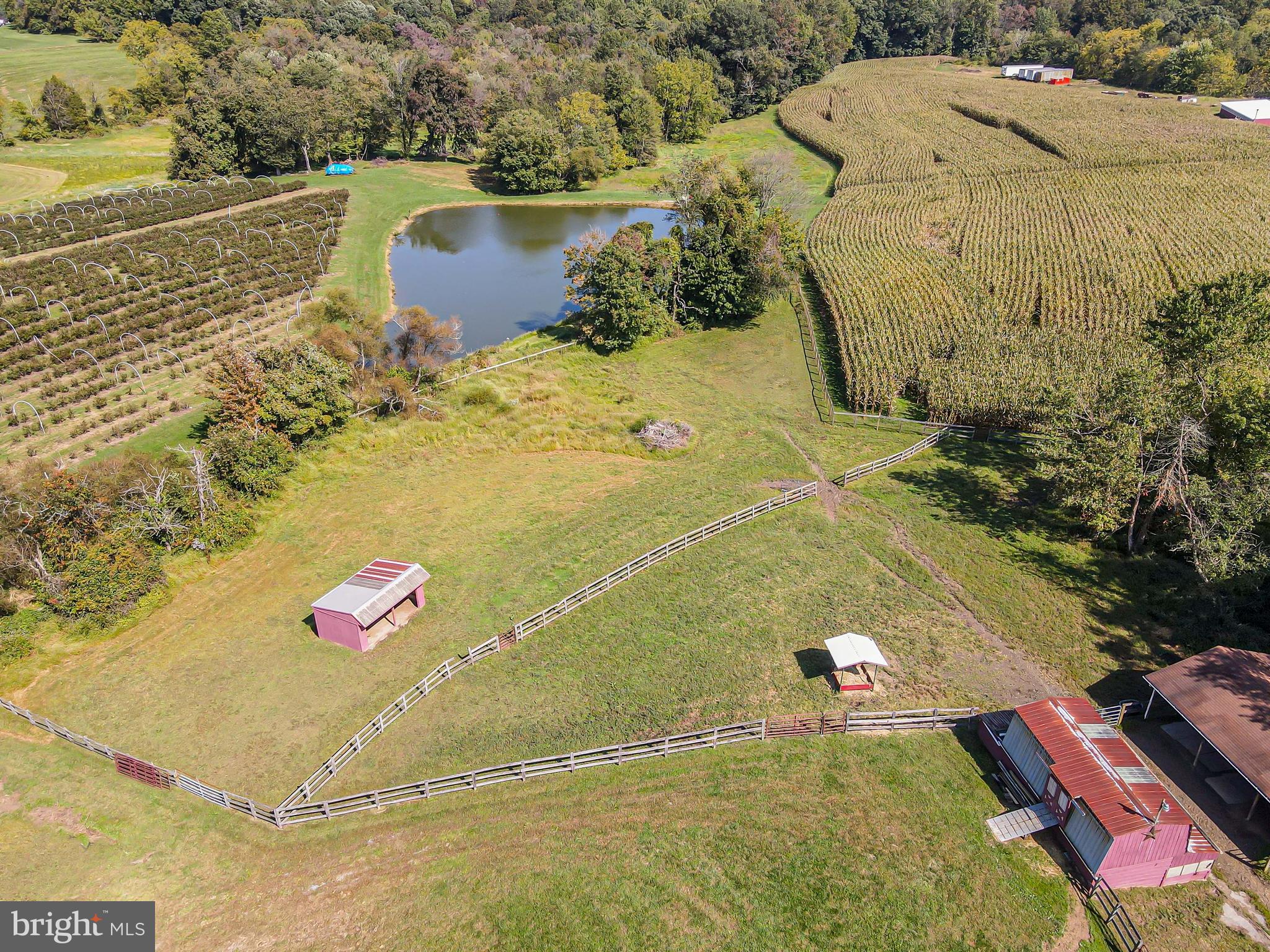 NONE DEV - Residential