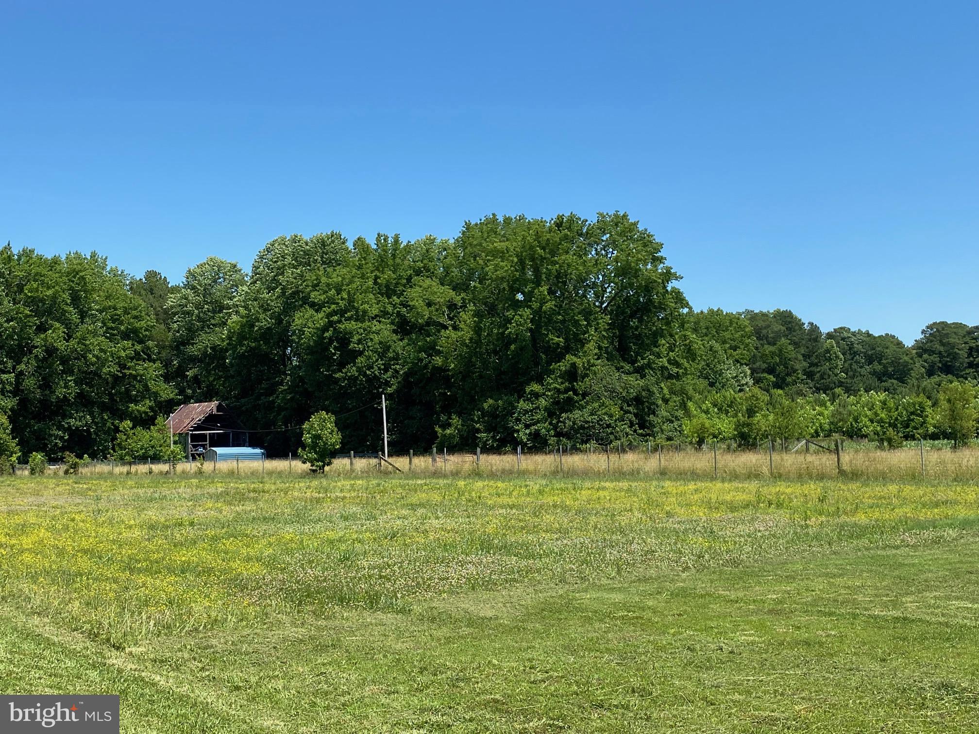 NONE AVAILABLE - Farm