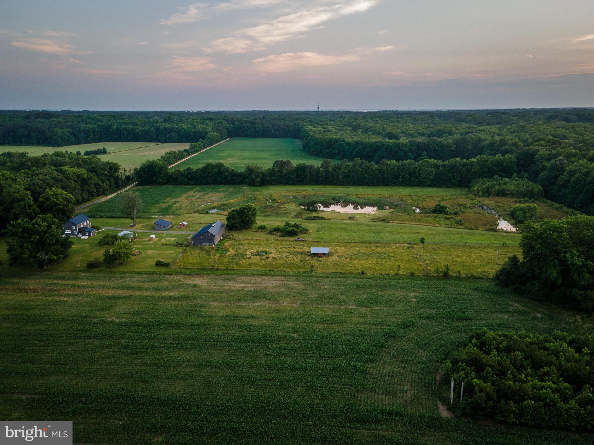 NONE AVAILABLE - Farm