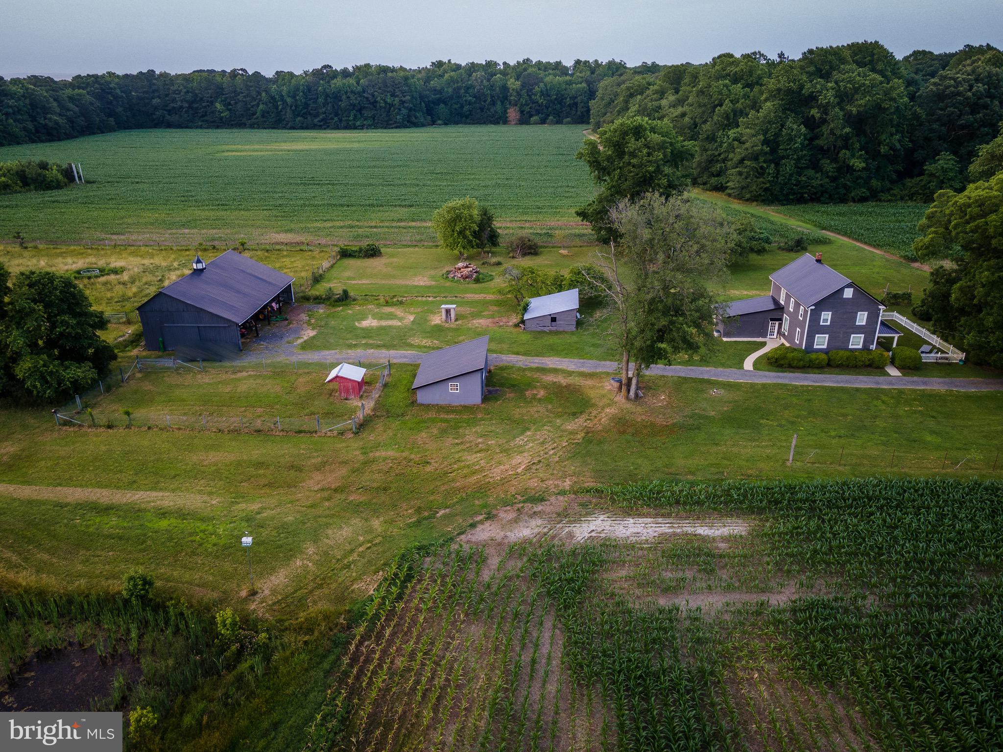 NONE AVAILABLE - Farm