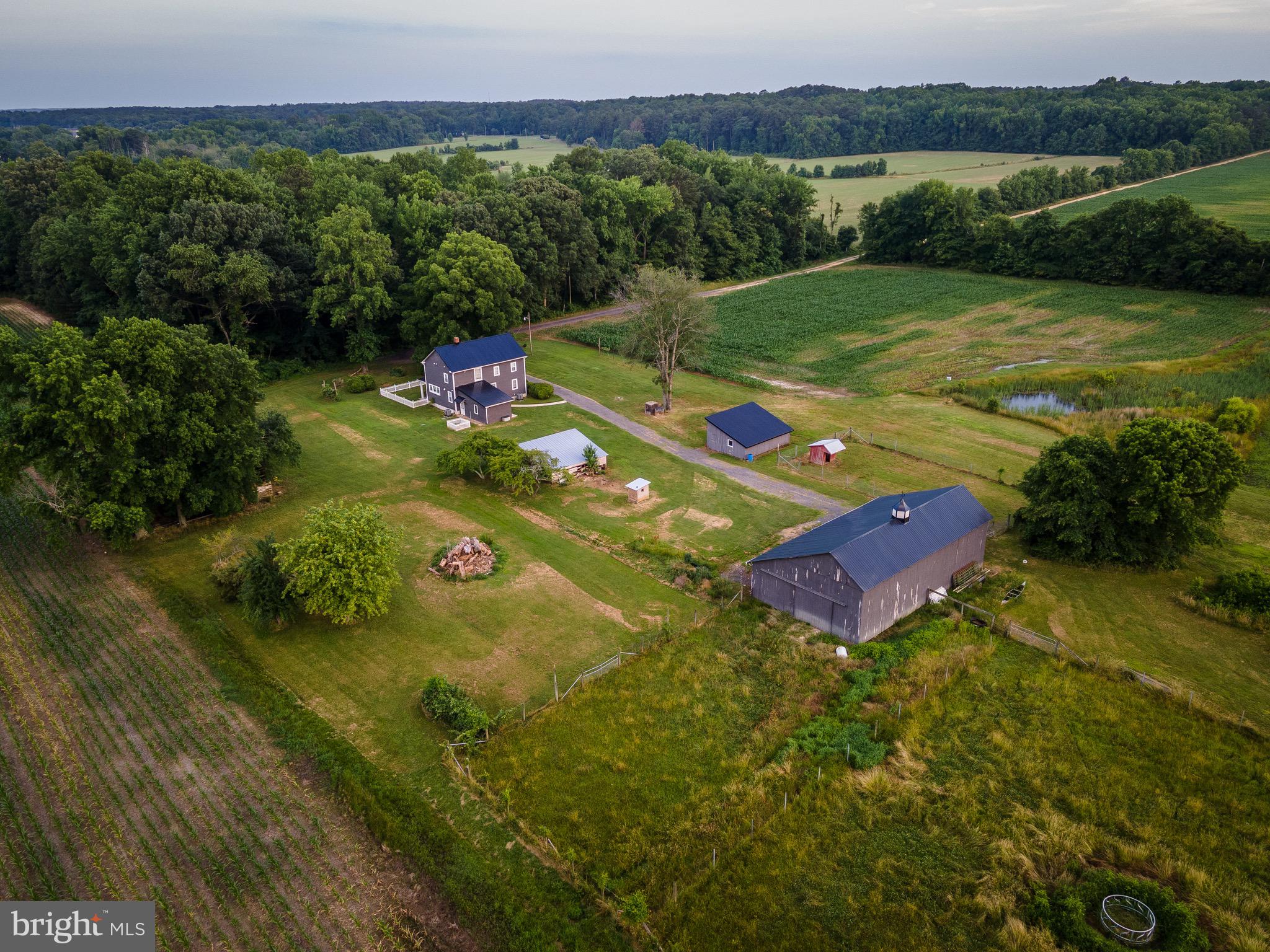 NONE AVAILABLE - Farm