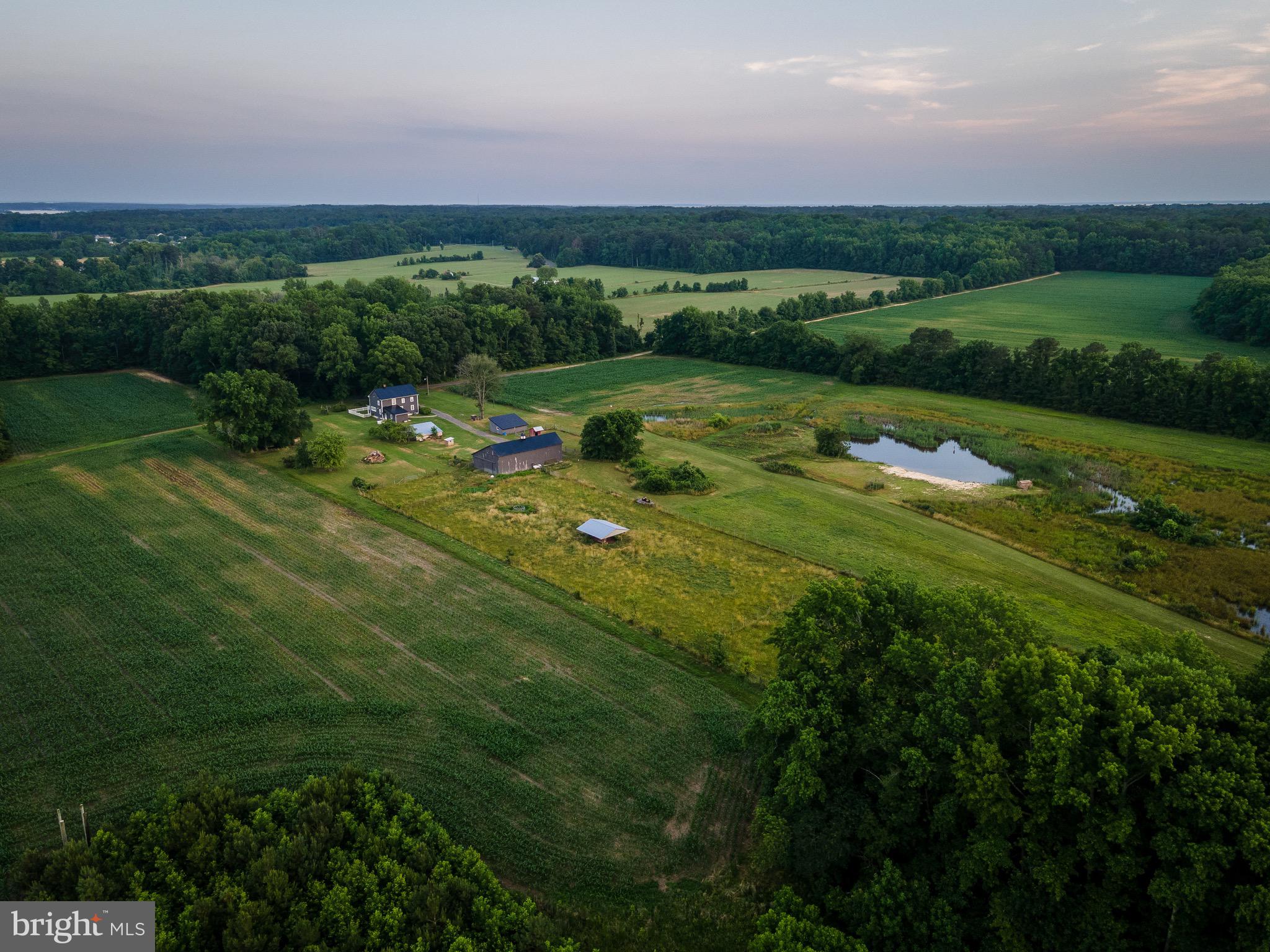 NONE AVAILABLE - Farm