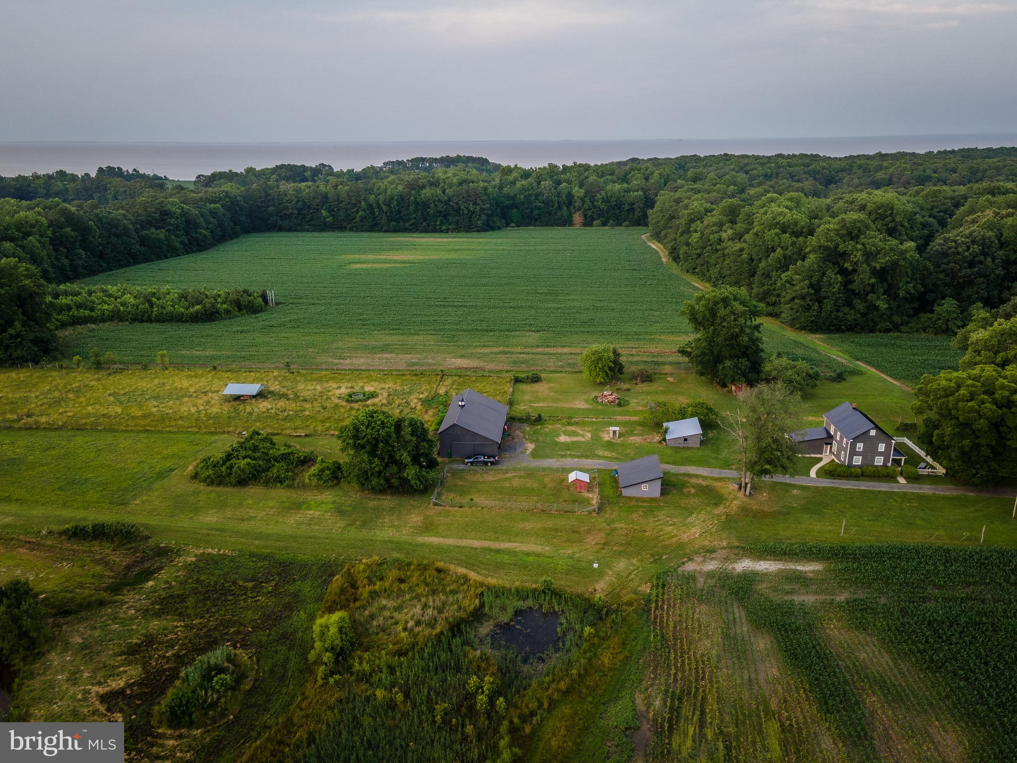 NONE AVAILABLE - Farm