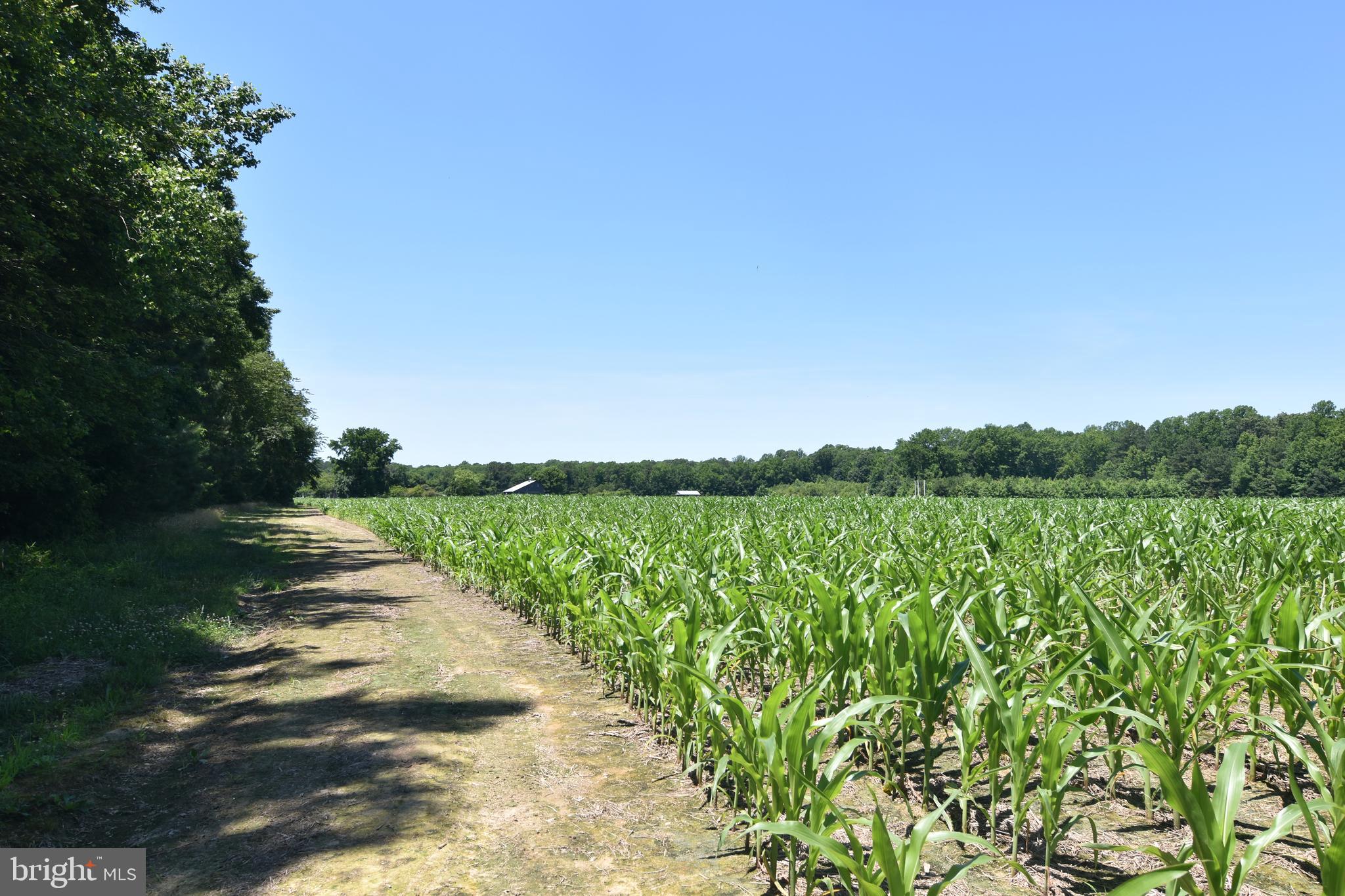 NONE AVAILABLE - Farm