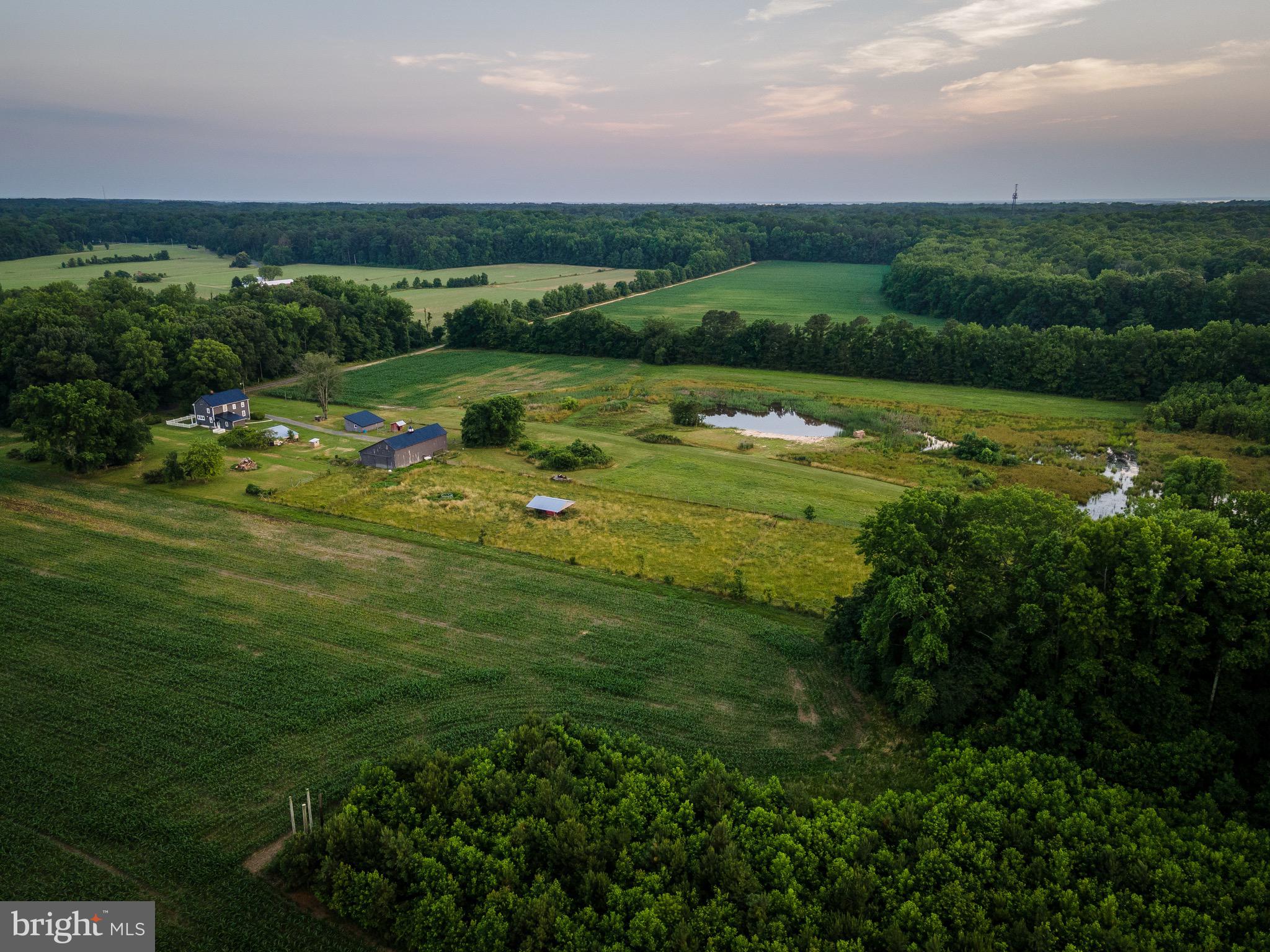 NONE AVAILABLE - Farm