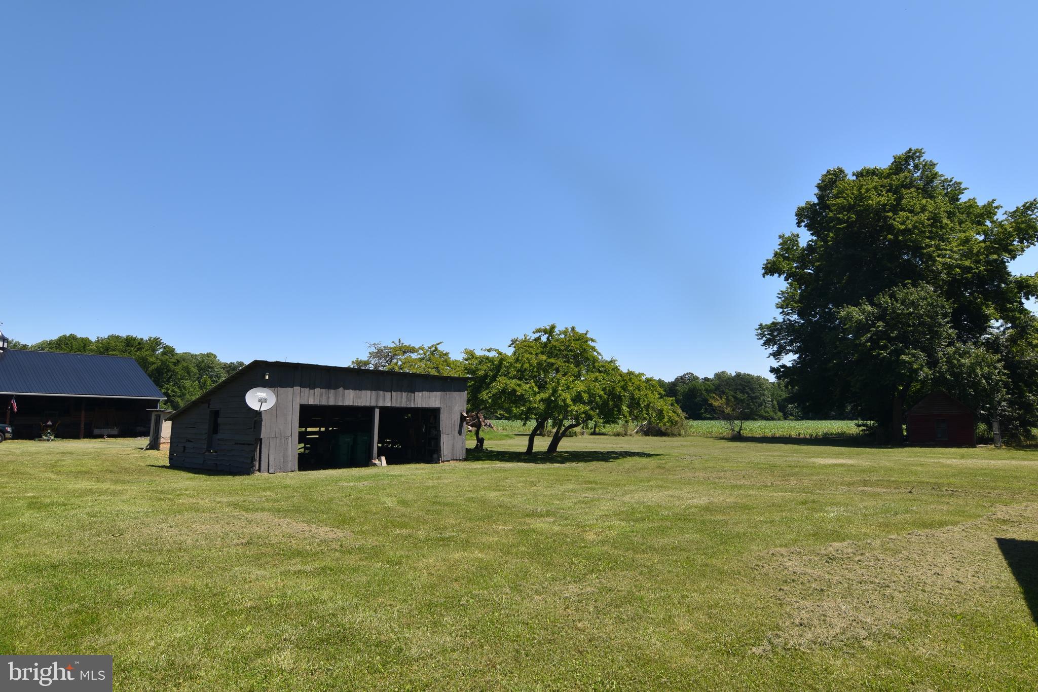 NONE AVAILABLE - Farm