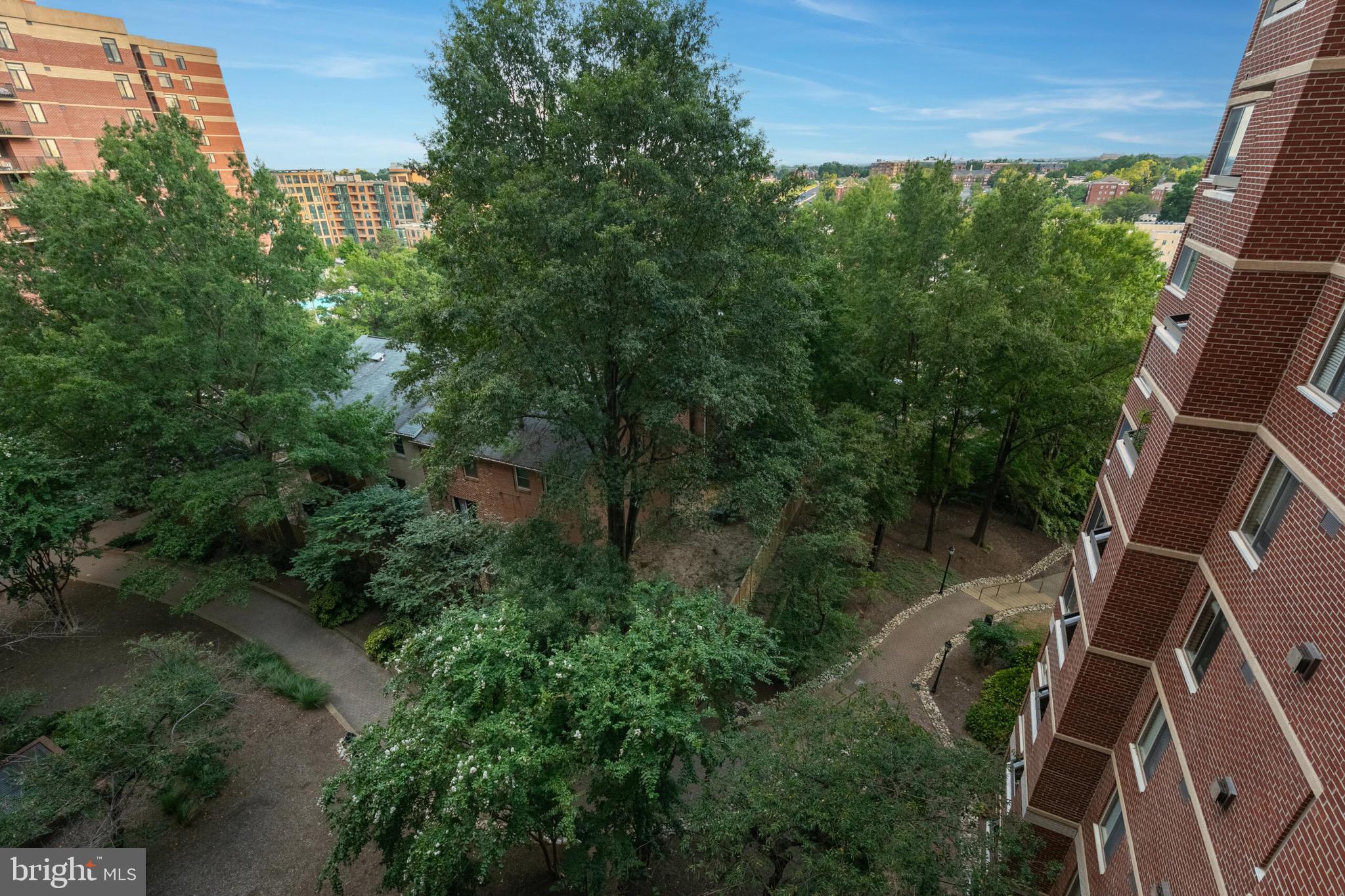 THE WILLIAMSBURG - Residential Lease