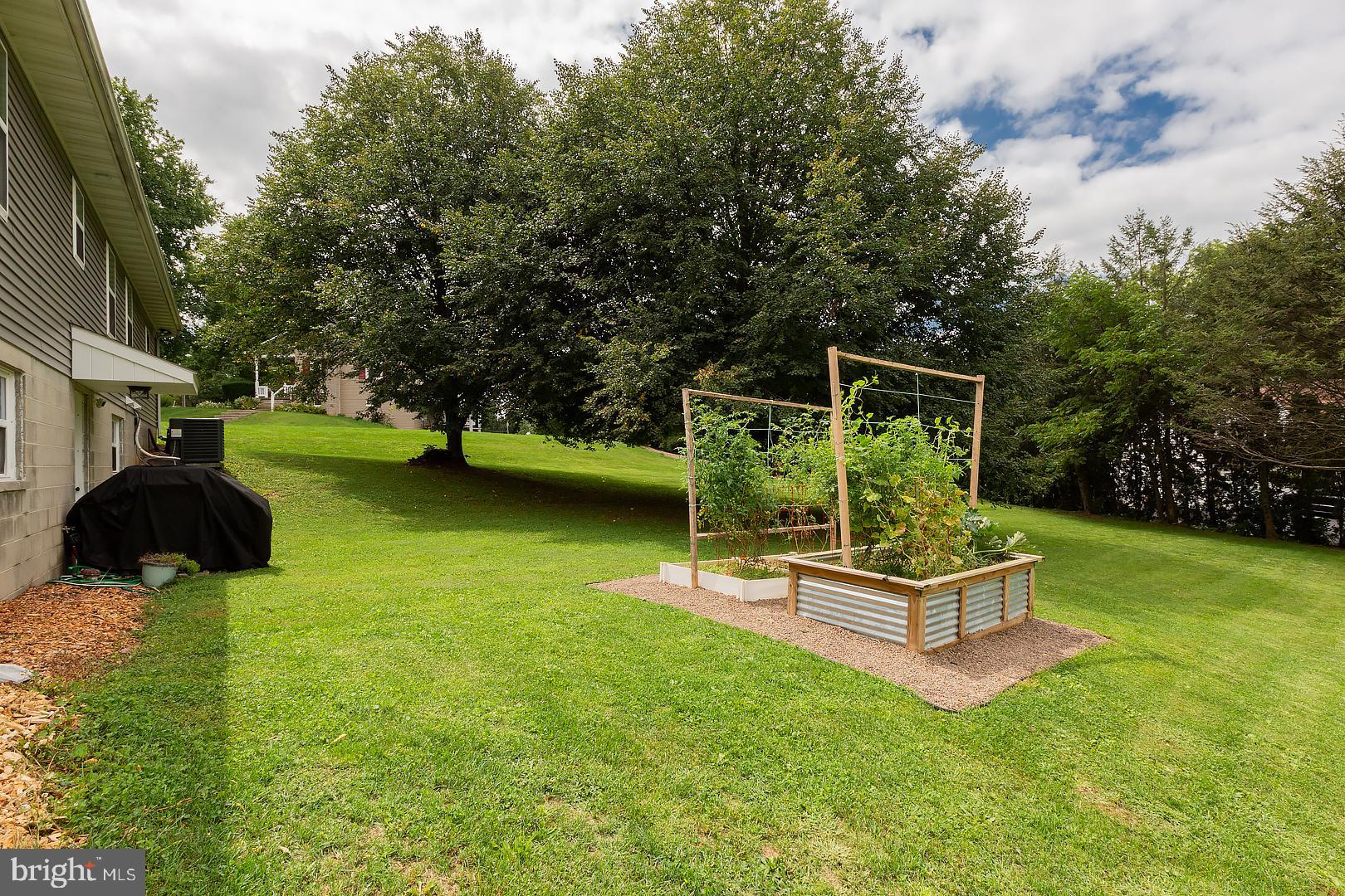 BRUNNERVILLE - Residential