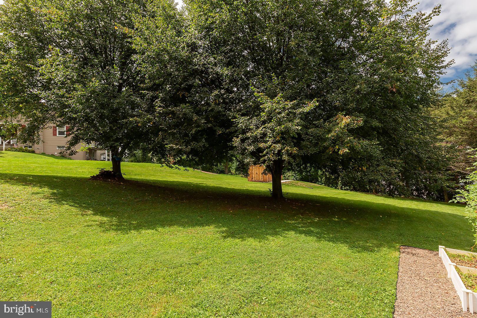 BRUNNERVILLE - Residential