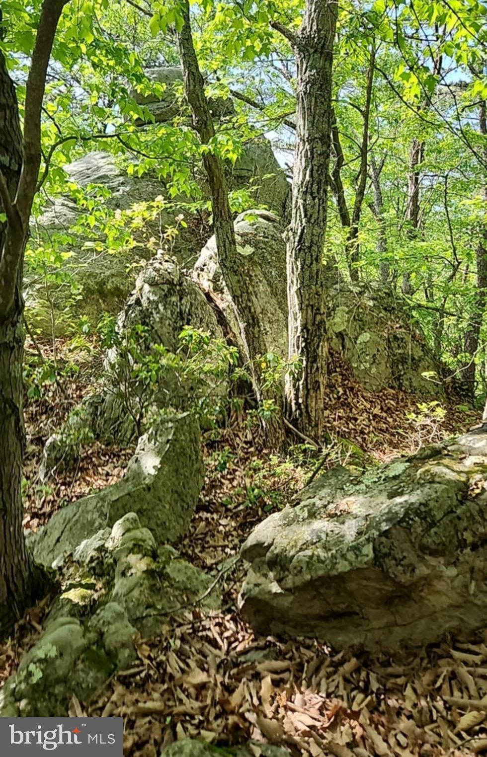 RITTERS HIDDEN VALLEY - Residential