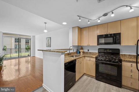 930 WAYNE AVENUE 401 SILVER SPRING MD 20910