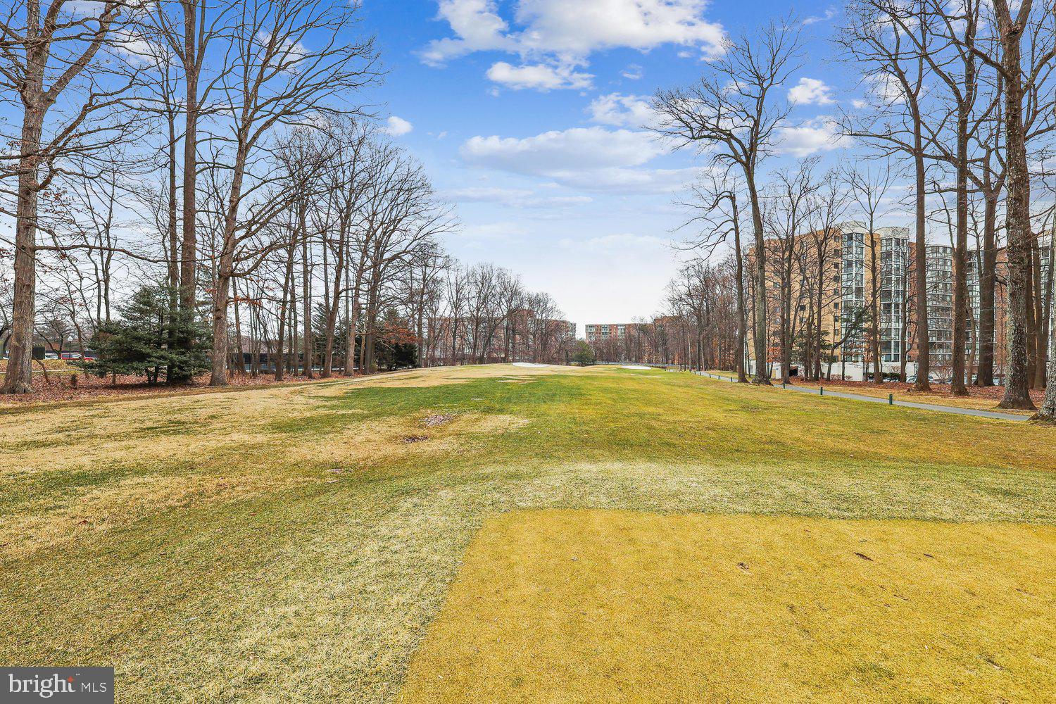 GREENS AT LEISURE WORLD - Residential
