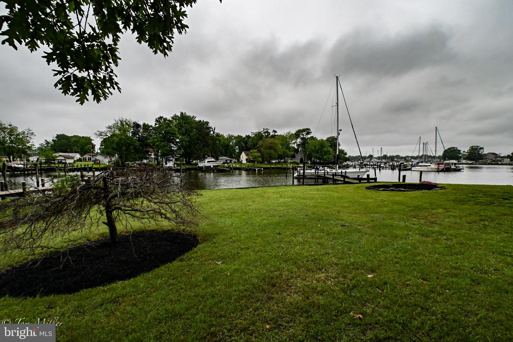 WILSON POINT - Residential