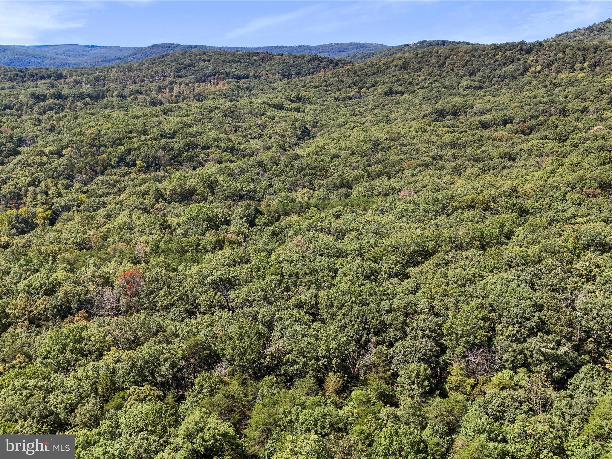 SOUTH POTOMAC FOREST - Residential