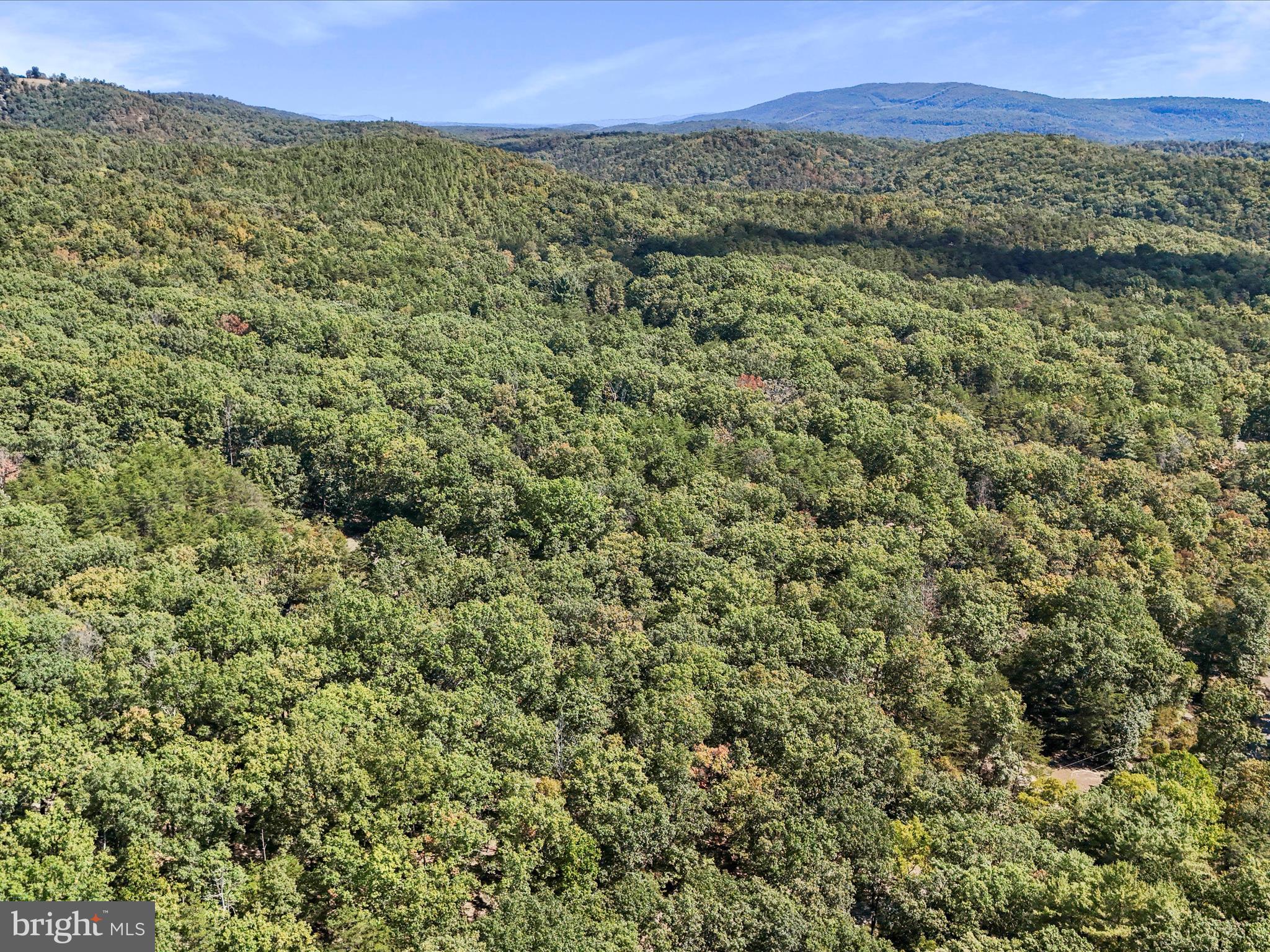 SOUTH POTOMAC FOREST - Residential